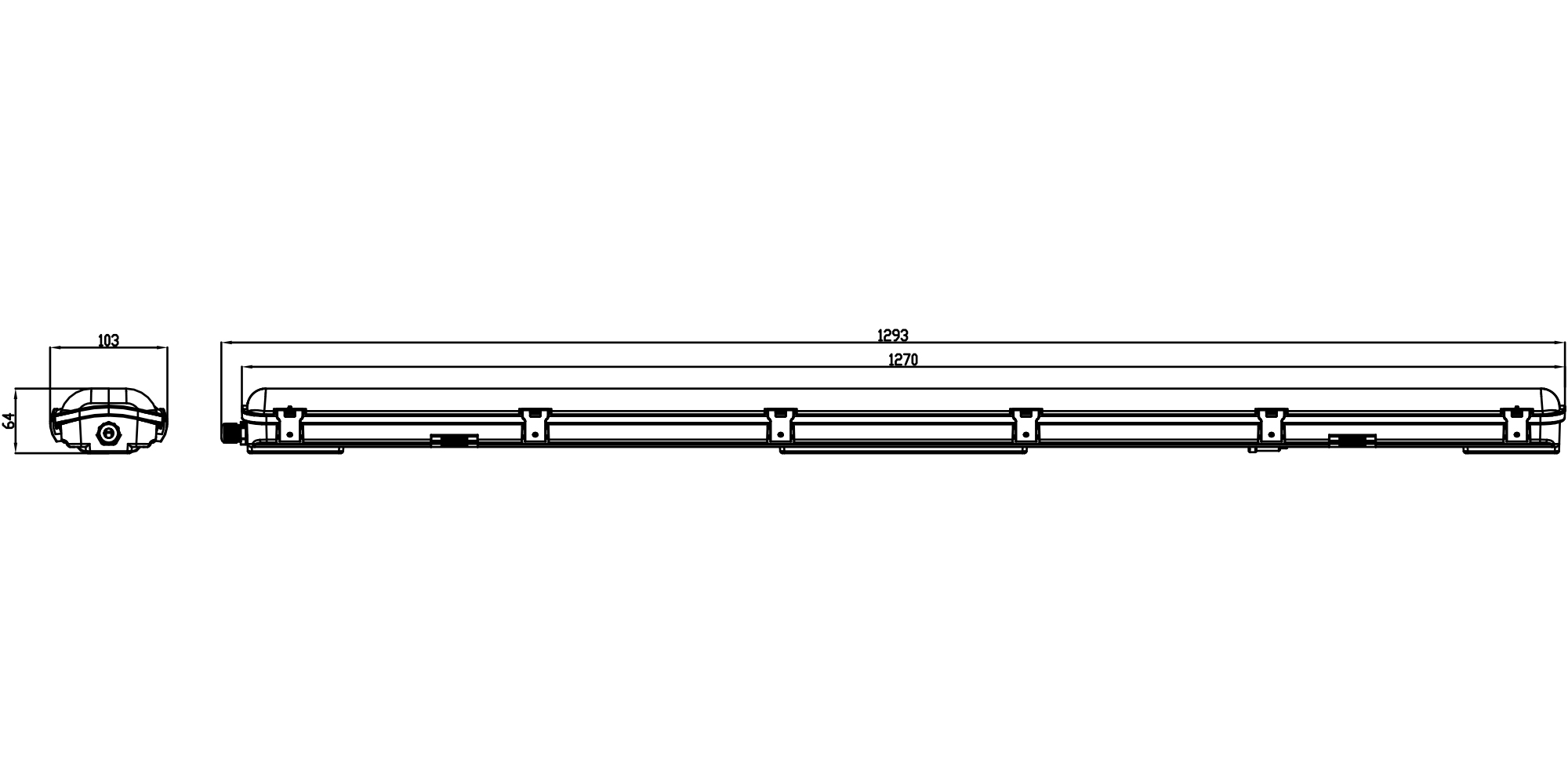https://www.reerlighting.com/reerlighting-assets/disegni-tecnici/Plafoniera_stagna_BLANK_x_tubo_2x1200_IP65_CAD.jpg